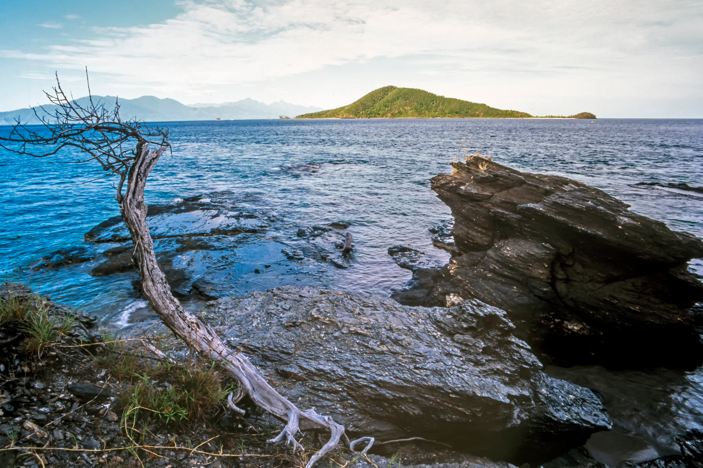 63 cochinos cays.webp